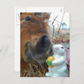 Paashaas en Bruin paard Feestdagenkaart (Voorkant / Achterkant)