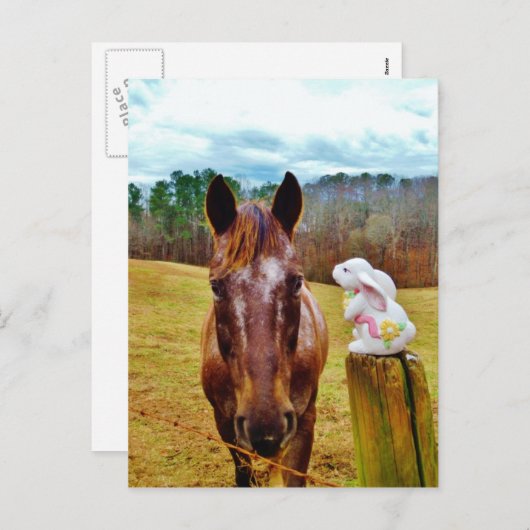 Paashaas en Bruin paard Feestdagenkaart (Voorkant / Achterkant)