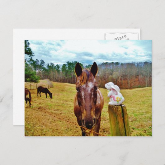 Paashaas en Bruin paard Feestdagenkaart (Voorkant / Achterkant)