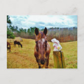 Paashaas en Bruin paard Feestdagenkaart (Voorkant)