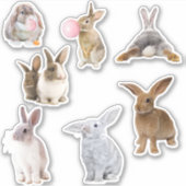 Paashaas Lente Sticker (Voorkant)