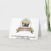 Paashazen? Bah Humbug! Feestdagen Kaart (Achterkant)