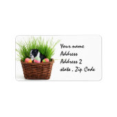 Paashond van Boston Terrier Etiket (Voorkant)