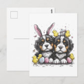 Paashonden Berner Briefkaart (Voorkant / Achterkant)