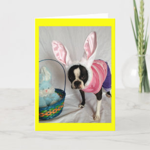 Paaskaart met Boston Terrier Bunny Feestdagen Kaart