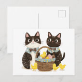 Paaskatten Paasmand Baby Chicks Briefkaart (Voorkant / Achterkant)
