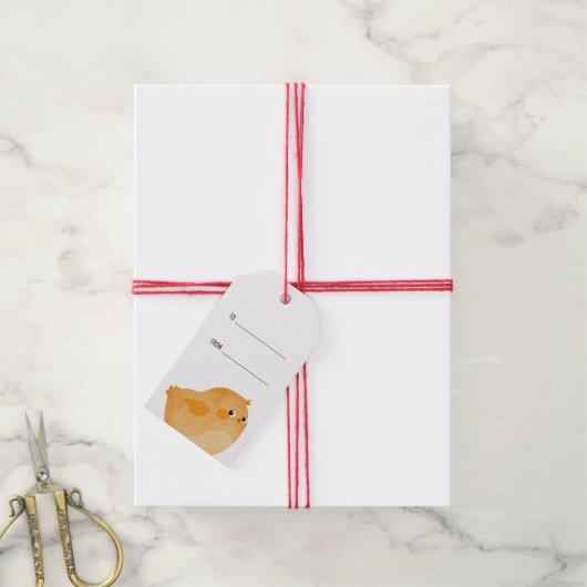 Paaskip in sinaasappel voor een heerlijk feest cadeaulabel (Met Touw)