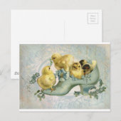 paaskippen bij opstarten briefkaart (Voorkant / Achterkant)