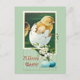 paaskippen en groeten briefkaart