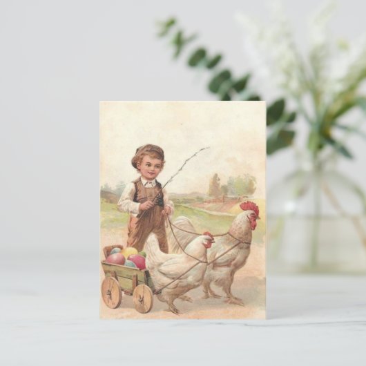 paaskippen en jongen briefkaart (Staand voorkant)