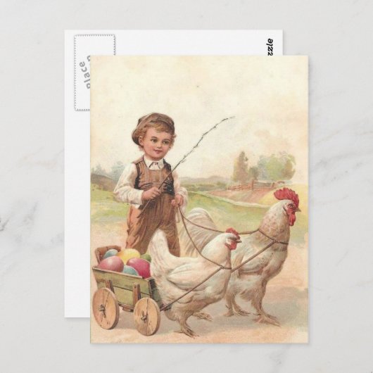 paaskippen en jongen briefkaart (Voorkant / Achterkant)