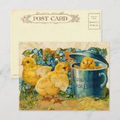 paaskippen feestdagenkaart (Voorkant / Achterkant)