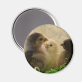 Paaskippen Magneet (Voorkant / Achterkant)