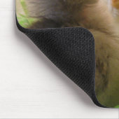 Paaskippen Muismat (Hoek)