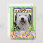 Paaskoekjes - Oude Engelse Sheepdog Feestdagenkaart (Voorkant / Achterkant)