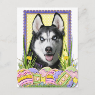 Paaskoekjes - Siberian Husky Feestdagenkaart