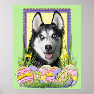 Paaskoekjes - Siberian Husky Poster