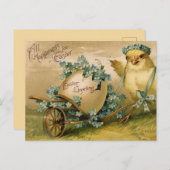 paaskuiken met ei vol viooltjes briefkaart (Voorkant / Achterkant)