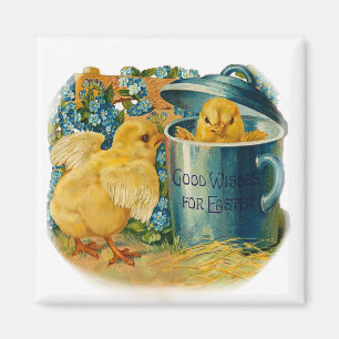 Paaskuikens in het spel magneet