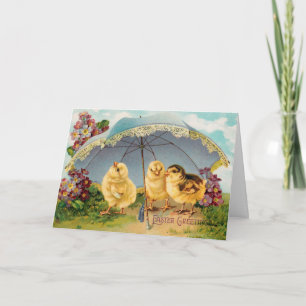  paaskuikens onder parasol kaart
