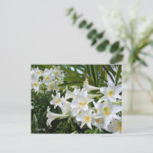 Paaslelie [Briefkaart] ポ ト カ ド ス Briefkaart (Staand voorkant)