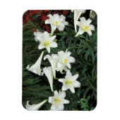 Paaslelie (Lilium regale) Magneet (Verticaal)