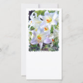 Paaslicht [Flat Guide-kaart] 案 内 状 Aankondiging (Achterkant)