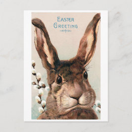 paaspoot Bunny Briefkaart