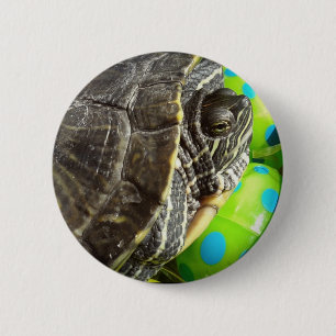 Paasschildpad Ronde Button 5,7 Cm