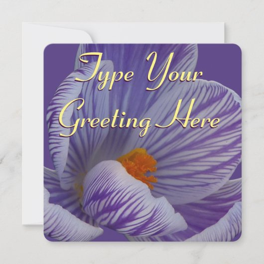 Paasstraaluitvindingen Pasen Pasen Kaarten persona (Voorkant)