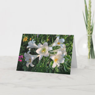 Paaszegeningen Lily Flowers Feestdagen Kaart