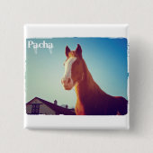 Pacha Deluxe Edition Button (Voorkant)
