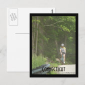 Pachaug State Forest, CT. Briefkaart (Voorkant / Achterkant)