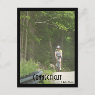 Pachaug State Forest, CT. Briefkaart