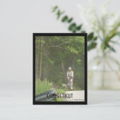 Pachaug State Forest, Ct. Carte postale (Debout devant)