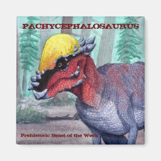 Pachycephalosaurus magneet