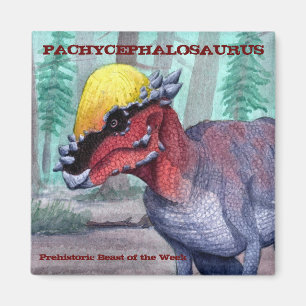 Pachycephalosaurus Magnet Magneet