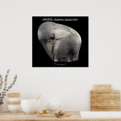 Pachyderm Poster (Keuken)