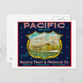 Pacific Apple Crate Label Briefkaart (Voorkant / Achterkant)