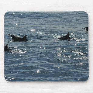 Pacific Common Dolphin Mousepad Muismat
