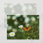 Pacific Fritillary Butterfly Briefkaart (Voorkant / Achterkant)