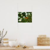 Pacific Fritillary Butterfly Poster (Keuken)