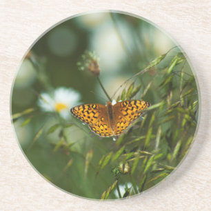 Pacific Fritillary Butterfly Zandsteen Onderzetter