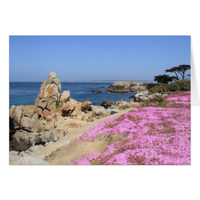 Pacific Grove (Devant Horizontal)