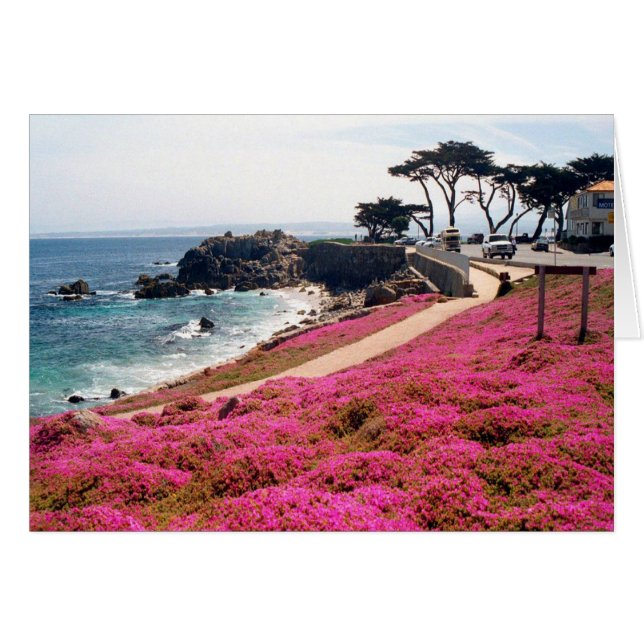 Pacific Grove-Monterey Calif (Voorkant Horizontaal)