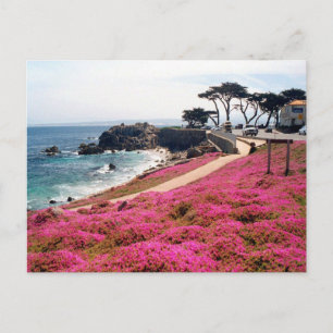 Pacific Grove-Monterey Calif Briefkaart