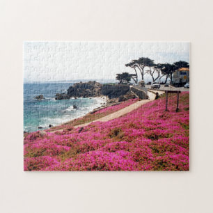 Pacific Grove-Monterey Calif Legpuzzel