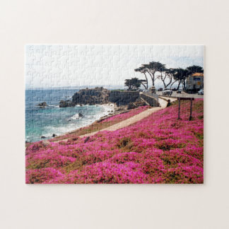 Pacific Grove-Monterey Calif Legpuzzel
