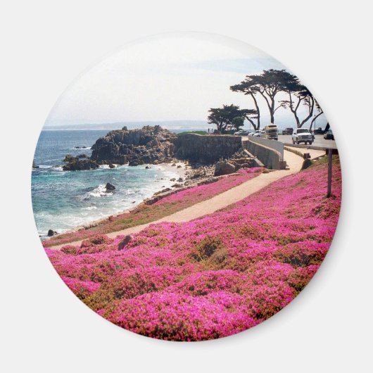 Pacific Grove-Monterey Calif Magneet (Voorkant)