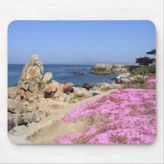 Pacific Grove Muismat